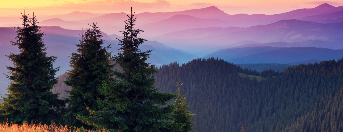 mountains with trees and a colorful sunset