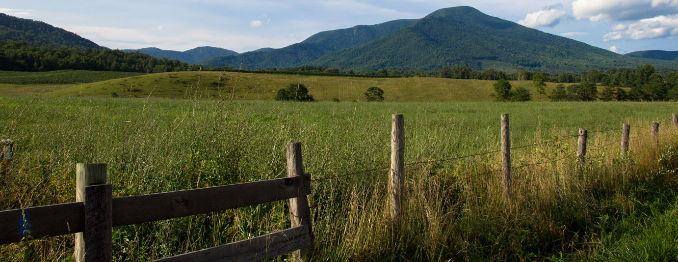 Summer field with mountains and fence