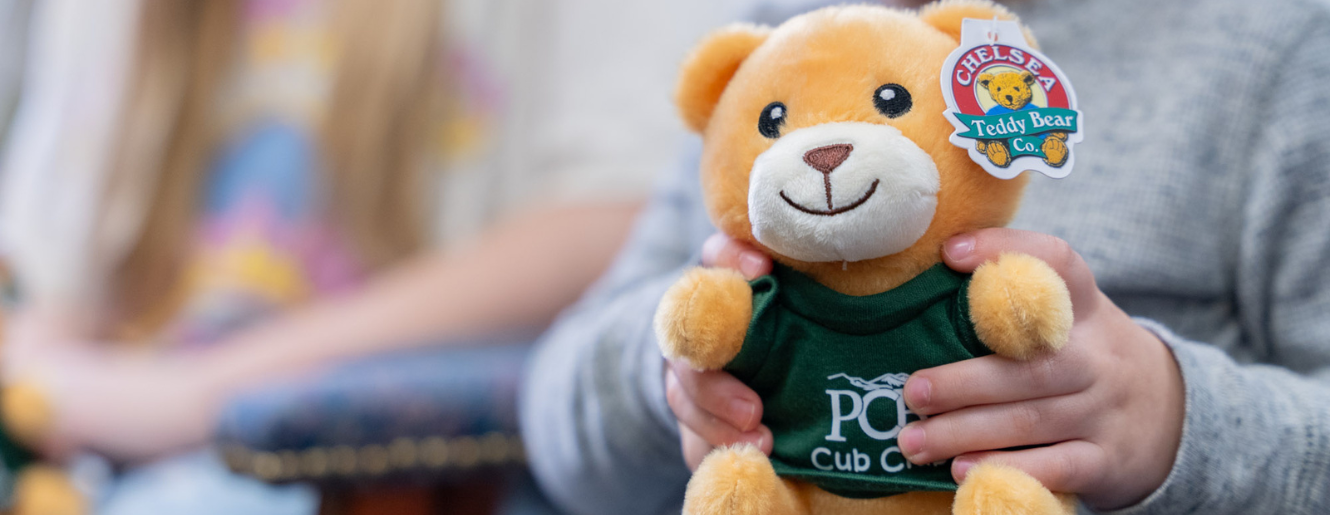 Cub Club Bear
