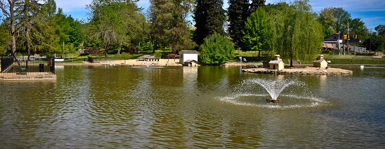 pond with fountain